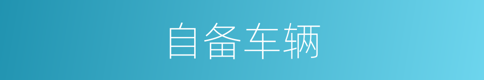 自备车辆的同义词