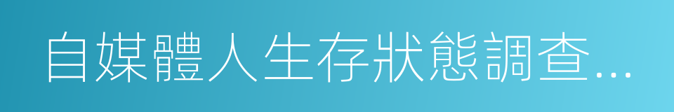 自媒體人生存狀態調查報告的同義詞