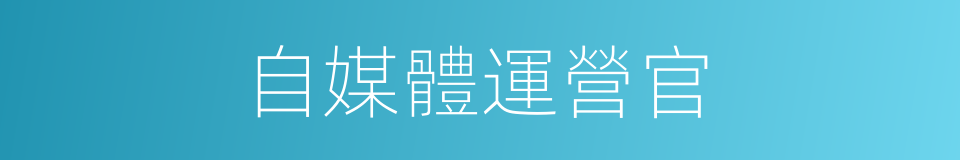 自媒體運營官的同義詞