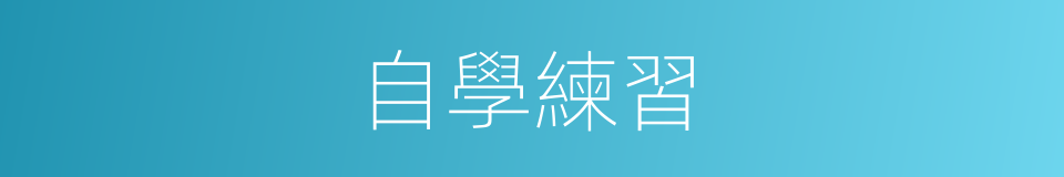 自學練習的同義詞