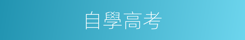 自學高考的同義詞