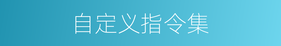 自定义指令集的同义词