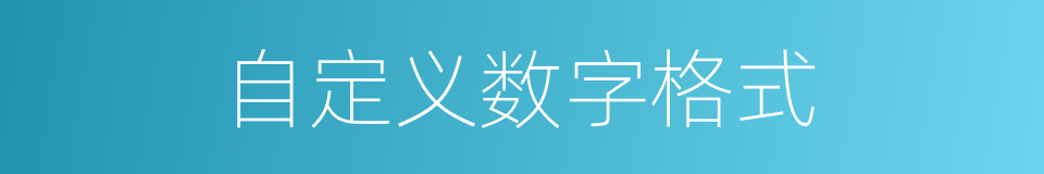 自定义数字格式的同义词