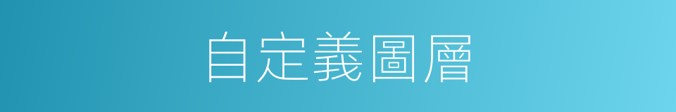 自定義圖層的同義詞