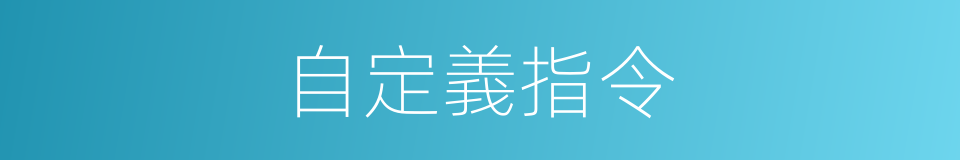 自定義指令的同義詞