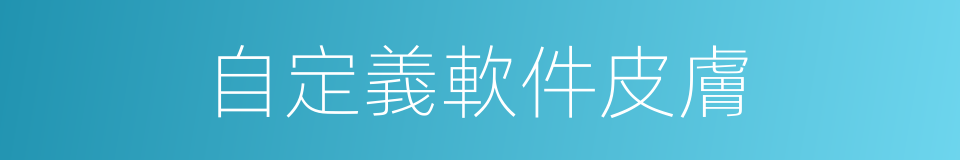 自定義軟件皮膚的同義詞