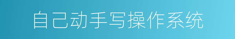 自己动手写操作系统的同义词