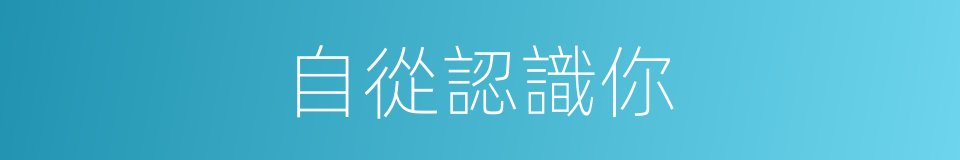 自從認識你的同義詞