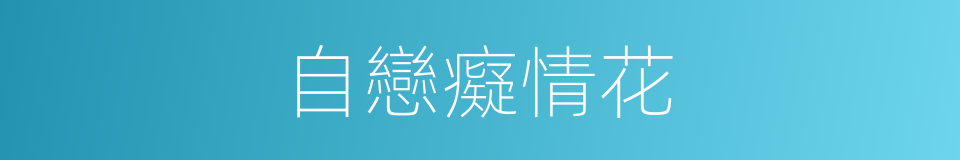 自戀癡情花的同義詞