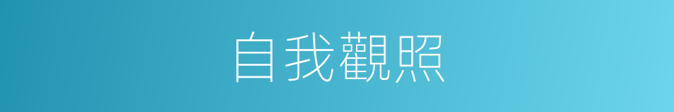 自我觀照的同義詞