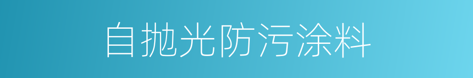 自抛光防污涂料的同义词