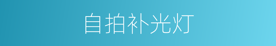 自拍补光灯的同义词