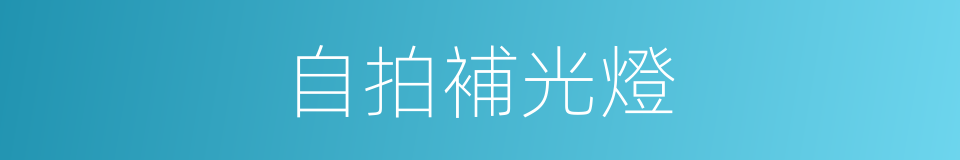 自拍補光燈的同義詞