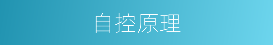 自控原理的同义词