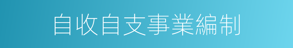 自收自支事業編制的同義詞