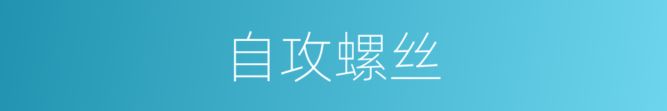 自攻螺丝的同义词