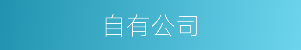 自有公司的同义词