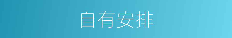 自有安排的同义词