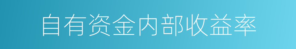 自有资金内部收益率的同义词