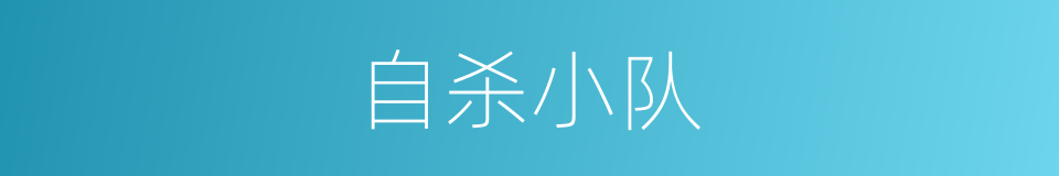 自杀小队的同义词