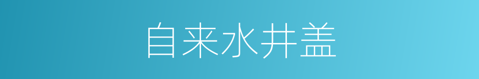 自来水井盖的同义词