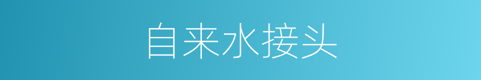 自来水接头的同义词