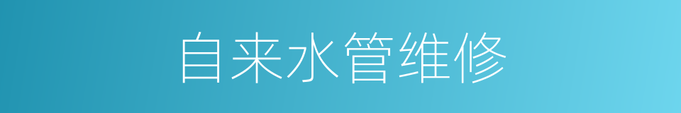 自来水管维修的同义词