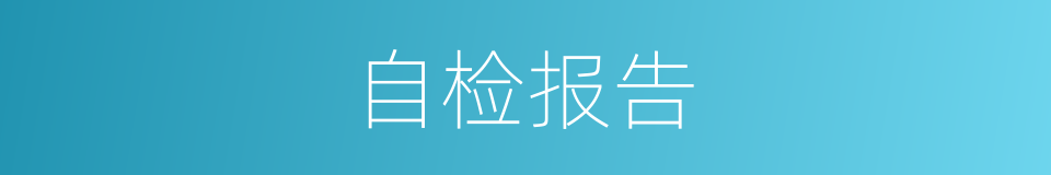 自检报告的同义词