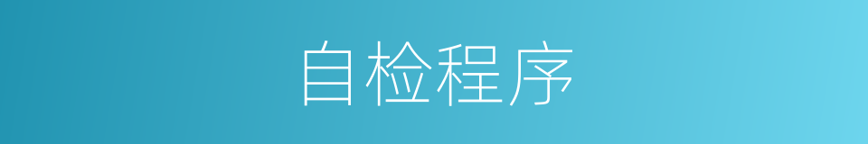 自检程序的意思