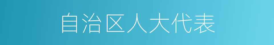 自治区人大代表的同义词