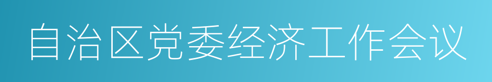 自治区党委经济工作会议的同义词