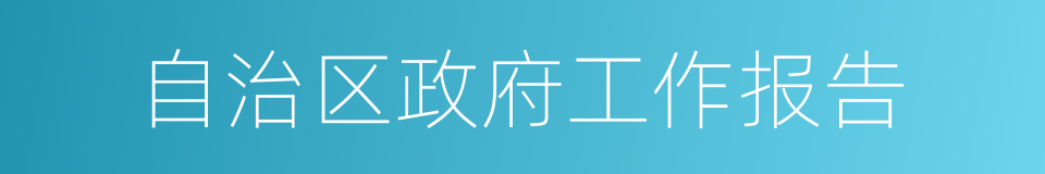 自治区政府工作报告的同义词