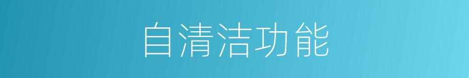 自清洁功能的同义词