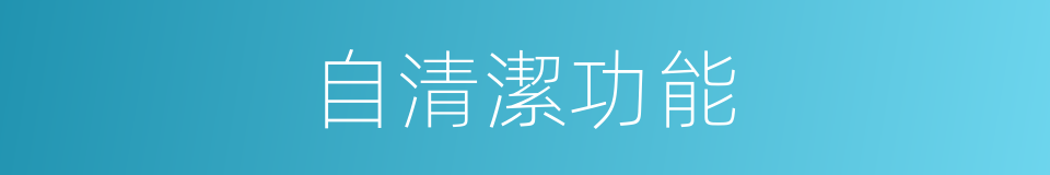 自清潔功能的同義詞