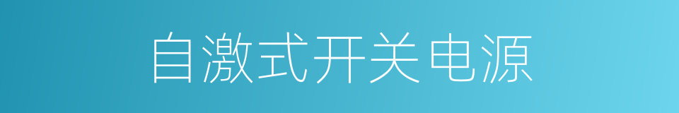 自激式开关电源的同义词