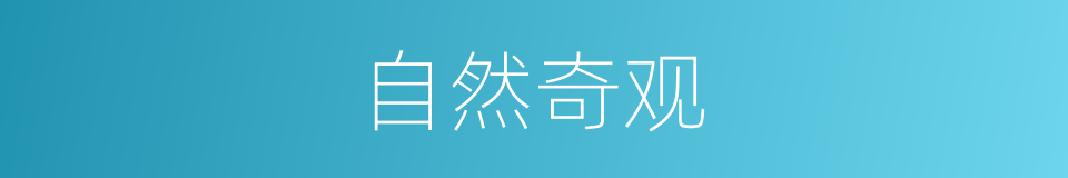 自然奇观的同义词