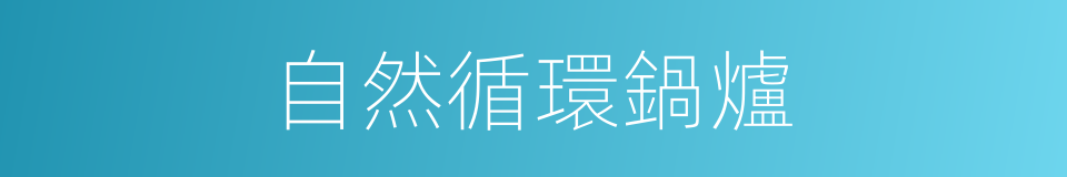 自然循環鍋爐的同義詞