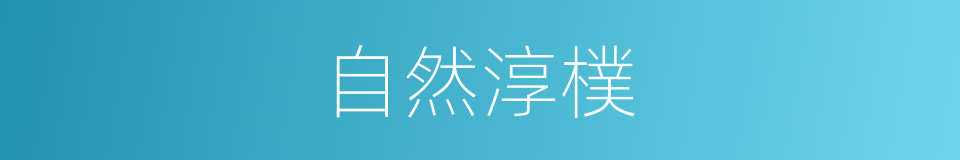 自然淳樸的同義詞