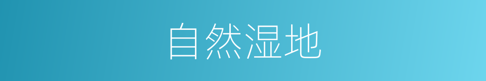 自然湿地的同义词