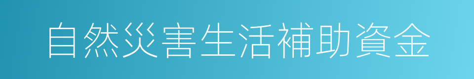 自然災害生活補助資金的同義詞