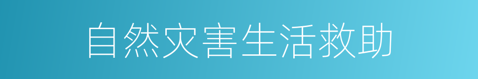 自然灾害生活救助的同义词