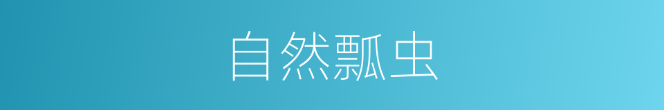 自然瓢虫的同义词