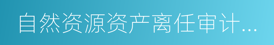 自然资源资产离任审计试点的同义词