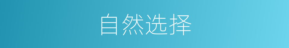 自然选择的意思