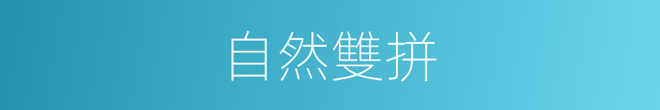 自然雙拼的同義詞