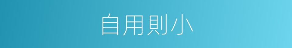 自用則小的意思