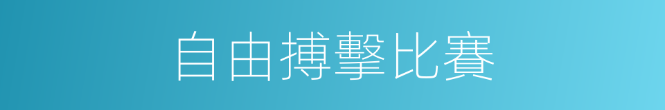 自由搏擊比賽的同義詞