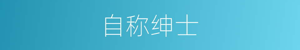 自称绅士的同义词