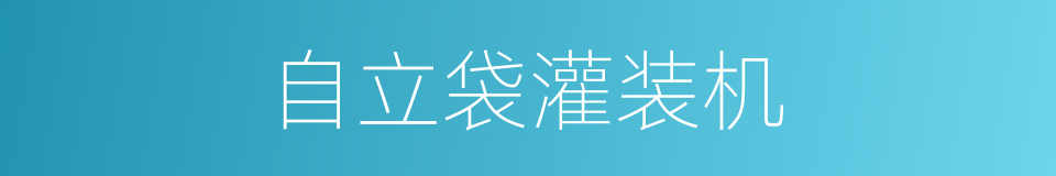 自立袋灌装机的同义词