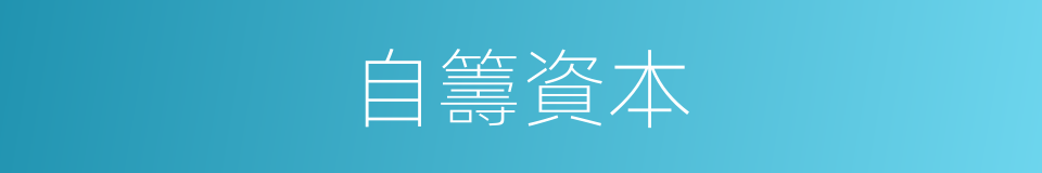 自籌資本的同義詞